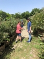 Kids_BlaseFarm_7-2020 (15)